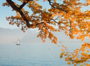 8moments-autumn-9912300.jpg