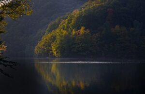 aszak-forest-8592902.jpg