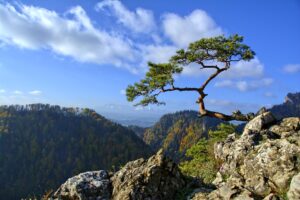 jarekgrafik-pieniny-1005434_1920.jpg
