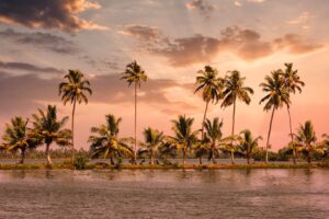 munnarholiday-alleppey-3941573